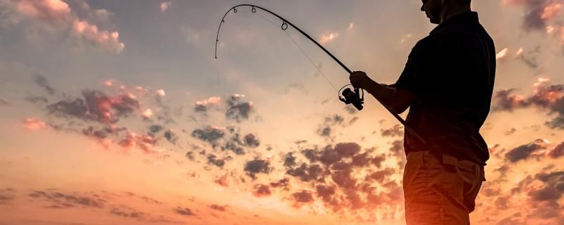 夏天晚上釣魚釣深還是釣淺釣多深 BD魟魚