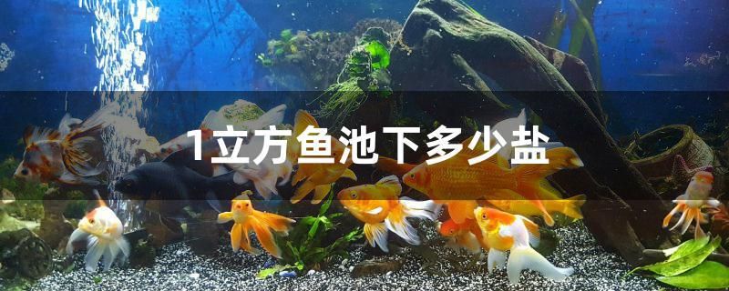 1立方魚池下多少鹽