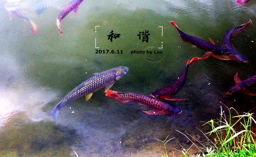 水族文明究竟在哪里？