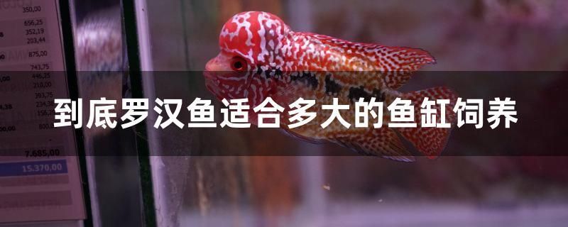 瑪麗魚(yú)是一次性生完嗎 黃鰭鯧魚(yú) 第2張