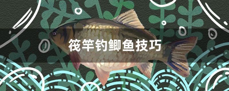 筏竿釣鯽魚技巧