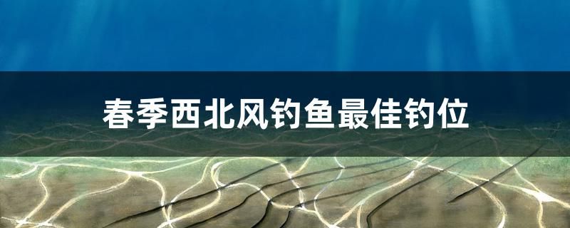 春季西北風(fēng)釣魚(yú)最佳釣位 水族用品