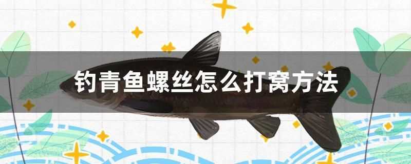 釣青魚螺絲怎么打窩方法