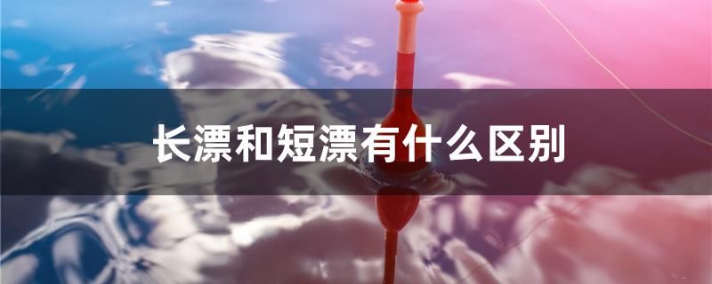 長漂和短漂有什么區(qū)別 巴卡雷龍魚