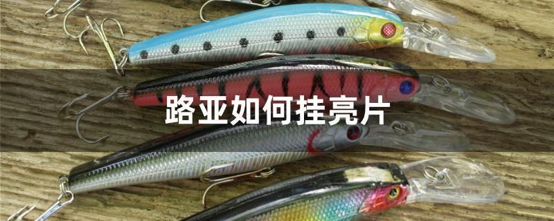 路亞如何掛亮片 銀河星鉆魚