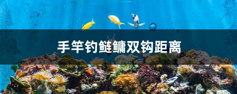 上海觀賞魚批發(fā)市場有哪些地方好賣（上海觀賞魚批發(fā)中心）