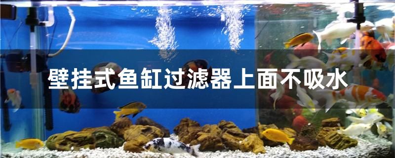 壁掛式魚(yú)缸過(guò)濾器上面不吸水咋辦