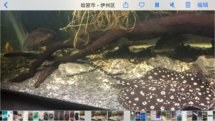 老款魚缸如何改造過濾系統(tǒng)圖片（老魚缸怎么改造） 黑水素