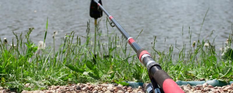 水庫釣魚用什么魚竿用什么魚餌