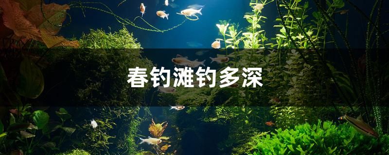 春釣灘釣多深 二氧化碳設(shè)備