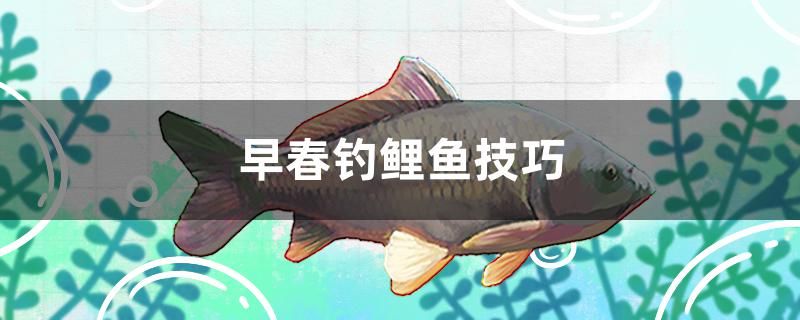 早春釣鯉魚(yú)技巧 魚(yú)缸定做