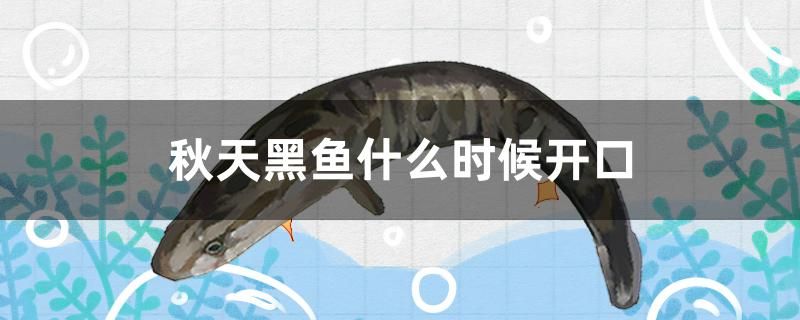 秋天黑魚什么時候開口 七彩神仙魚