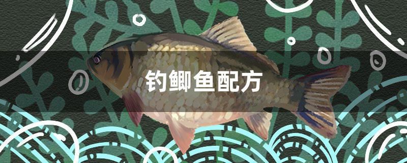 釣鯽魚配方 黃金斑馬魚