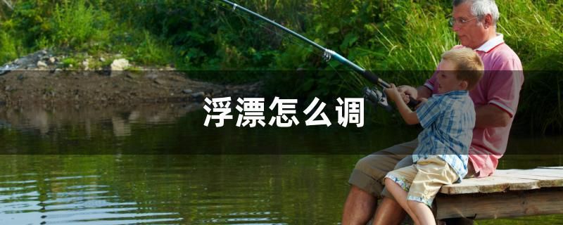 浮漂怎么調(diào) 白子銀版魚苗