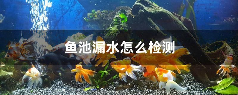 魚池漏水怎么檢測(cè)