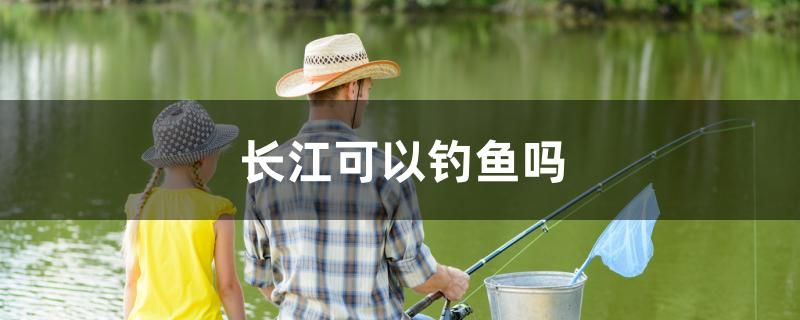 長江可以釣魚嗎