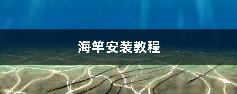 海竿安裝教程