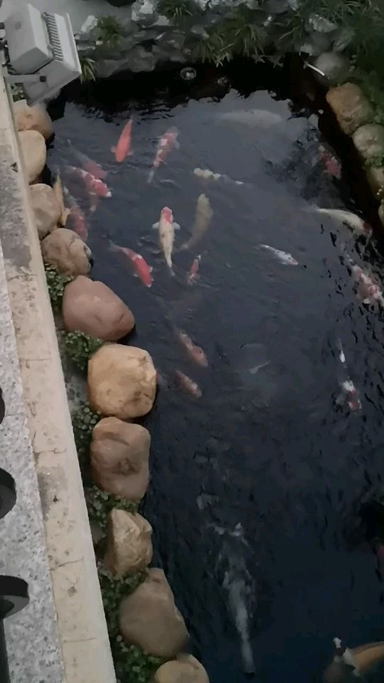 魚缸換氣管為什么會流水（魚缸換氣管為什么會流水呢） 造景/裝飾