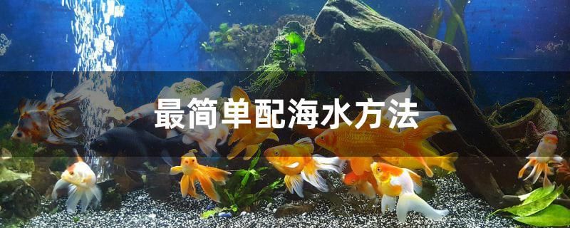 最簡(jiǎn)單配海水方法 國(guó)產(chǎn)元寶鳳凰魚