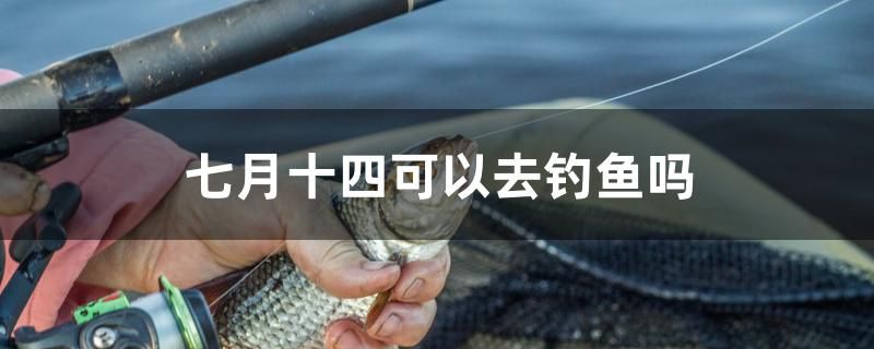 七月十四可以去釣魚嗎