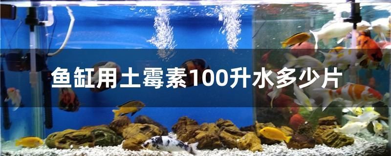 魚缸用土霉素100升水多少片 黑白雙星