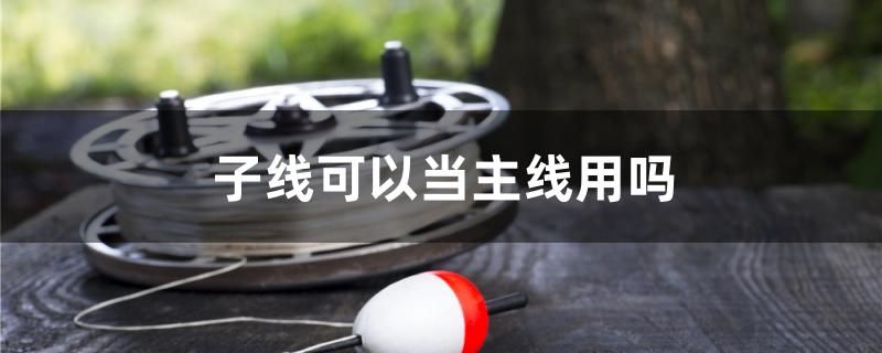 金魚缸加熱棒溫度設(shè)定范圍 金魚缸加熱棒溫度設(shè)定范圍是多少 一眉道人魚苗 第2張