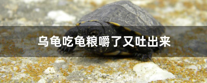 福州市倉山區(qū)博宇水族店（福州市倉山區(qū)博宇水族店地址）