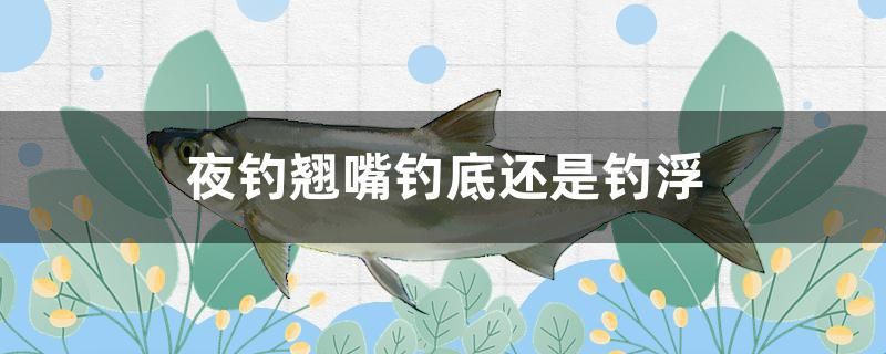 夜釣翹嘴釣底還是釣浮