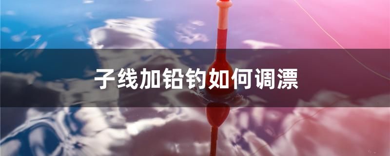 子線加鉛釣如何調(diào)漂 白子銀龍苗（黃化銀龍苗）