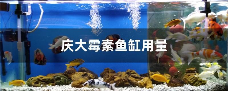 慶大霉素魚缸用量