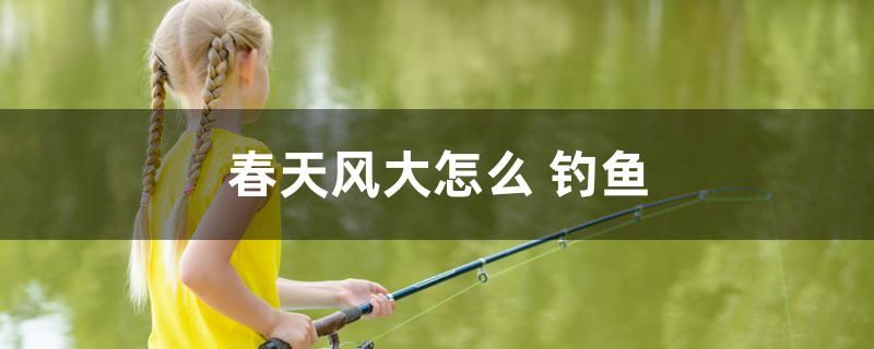 春天風(fēng)大怎么釣魚 紅龍專用魚糧飼料