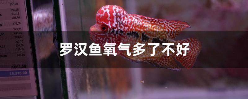 龍魚和翹嘴區(qū)別圖片（龍魚和翹嘴區(qū)別圖片對比） 廣州觀賞魚批發(fā)市場