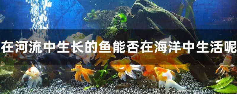 河流中生長的魚能否在海洋生活呢