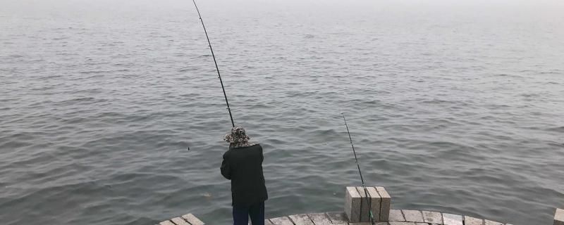 15米水深能釣魚嗎怎么釣魚 圣菲埃及魚