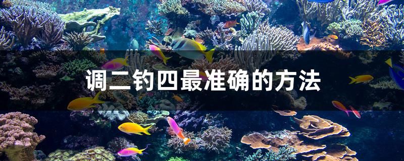 調(diào)二釣四最準(zhǔn)確的方法