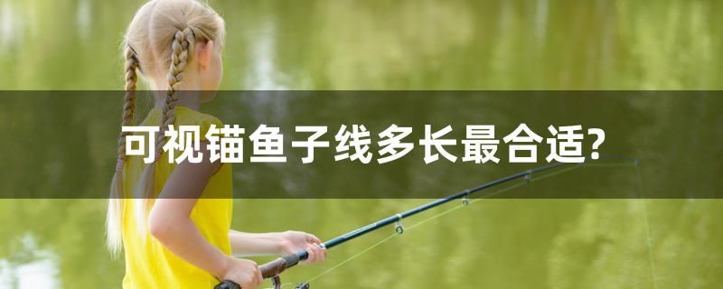 可視錨魚子線多長最合適？