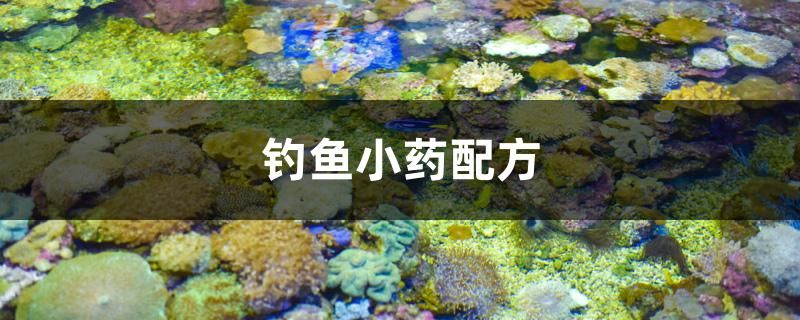 釣魚小藥配方 銀古魚苗