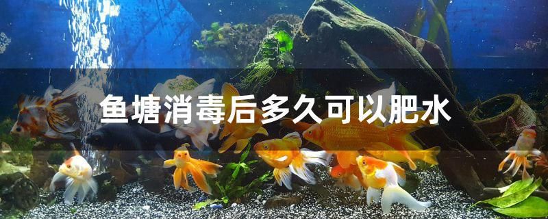 魚塘消毒后多久可以肥水