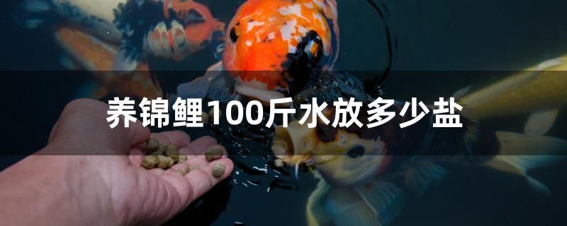 養(yǎng)錦鯉100斤水放多少鹽