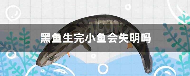 黑魚生完小魚會(huì)失明嗎