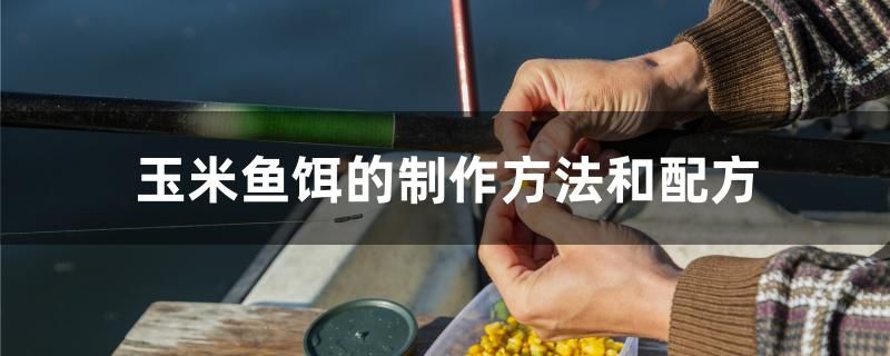 玉米魚餌的制作方法和配方 虎魚百科