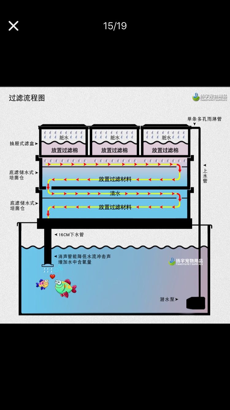 魚缸超濾網(wǎng)（過濾網(wǎng)魚缸） 泰國虎魚