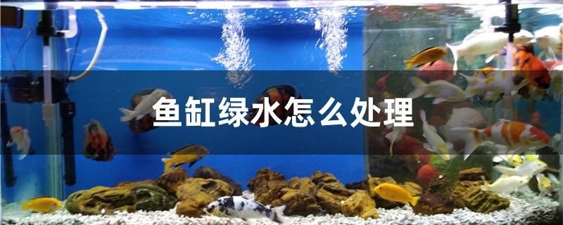 1.2米魚缸底濾缸多大(12米魚缸底濾缸多大容量) 白子銀龍魚苗 第1張