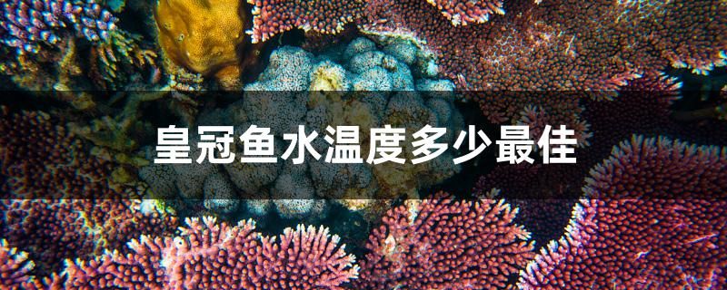 榆次哪里有做魚缸的地方呀圖片 榆次賣魚缸的地方在哪 愛龍仕