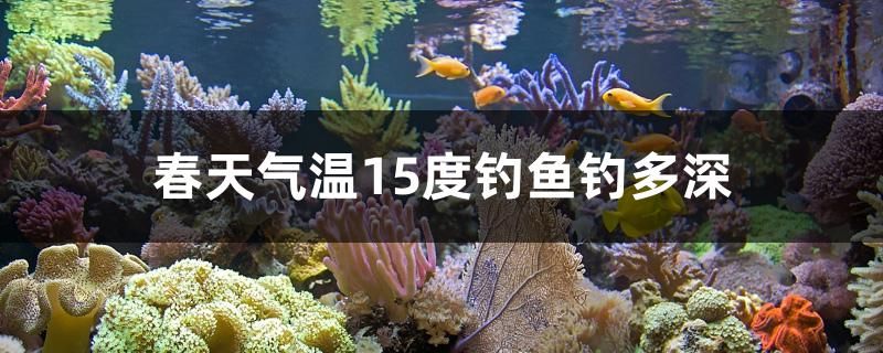 春天氣溫15度釣魚釣多深