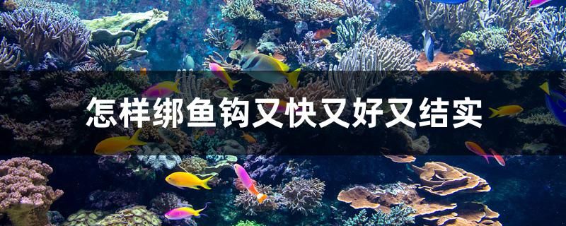 怎樣綁魚鉤又快又好又結(jié)實 委內(nèi)瑞拉奧里諾三間魚苗