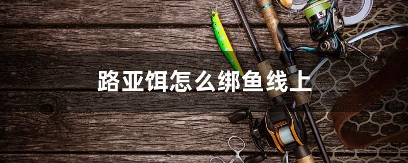 大慶魚缸上門回收電話號碼查詢(大慶魚缸上門回收電話號碼查詢地址) 龍魚百科