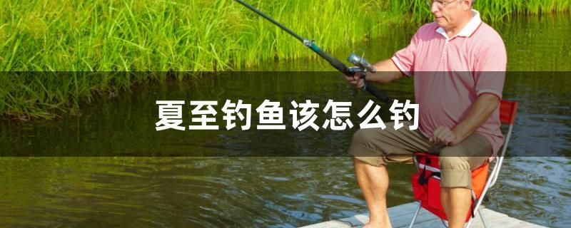 夏至釣魚該怎么釣