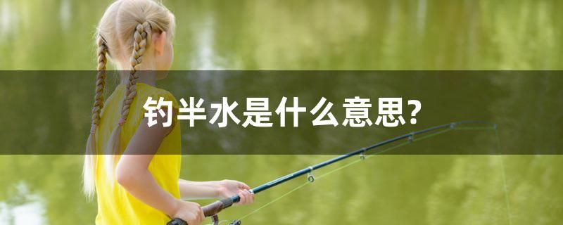 釣半水是什么意思？ 廣州觀賞魚批發(fā)市場(chǎng)