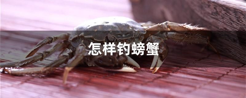 怎樣釣螃蟹